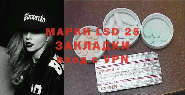 стаф Абинск