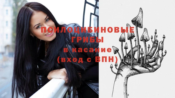 стаф Абинск